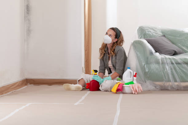 Reliable Mold Cleanup contractor in Greeley, CO by WQB Mold Removal
